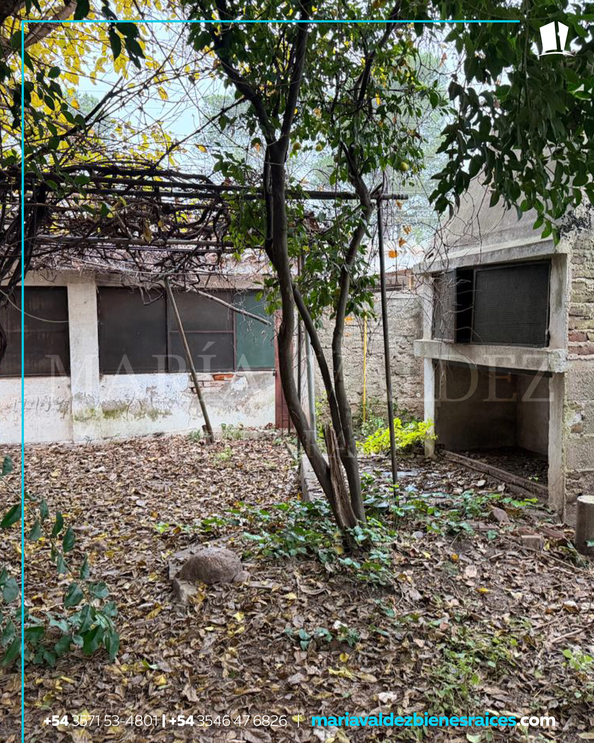 aguada-14